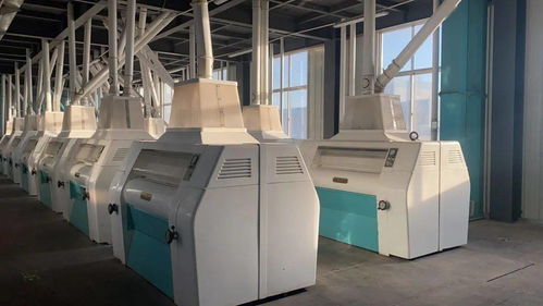 山東諸城市諸南面粉廠 誠招全國經銷商