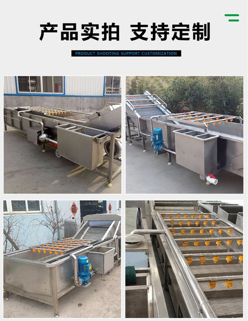 竹筍翻浪清洗機 諸城市富食康食品機械 竹筍翻浪清洗機生產商