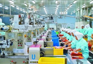 大型食品加工車間消毒劑罐裝設備管道洗瓶cip原位清洗消毒