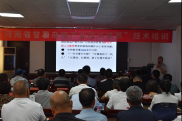 開(kāi)展加工技術(shù)培訓(xùn) 推動(dòng)伊川甘薯雜糧產(chǎn)業(yè)提質(zhì)增效