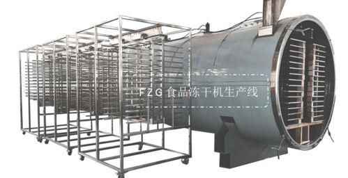 大型食品凍干機果蔬生產線解決方案